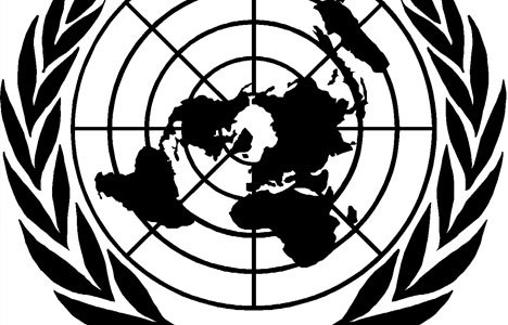 BM yetkilisi Kırım'da kaçırılmak istendi