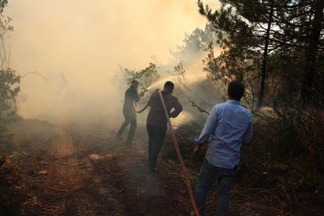 Şile'de 10 hektarlık ormanlık alan yandı