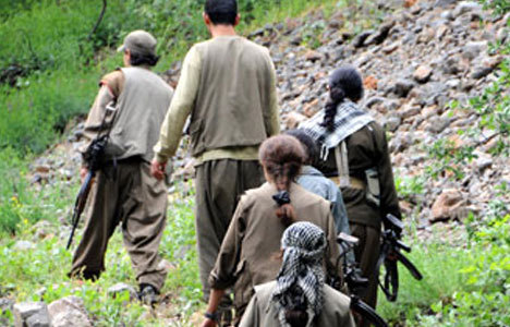 PKK köylüleri kaçırdı