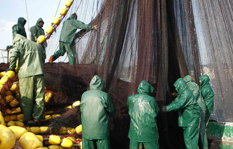 Karadenizli balıkçılar ağlarını mezgit için atıyor