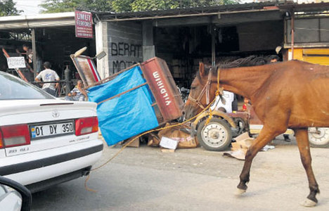 Adana'da atı arabaya bağlayıp çekti!