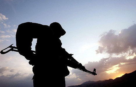 Bingöl'de 2 PKK'lı öldürüldü
