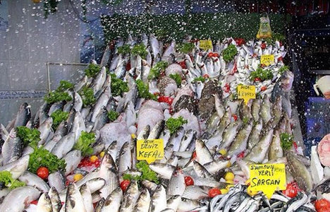 Balık fiyatları arttı